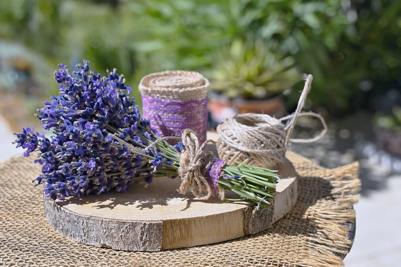 Eco-Friendly Home Projects